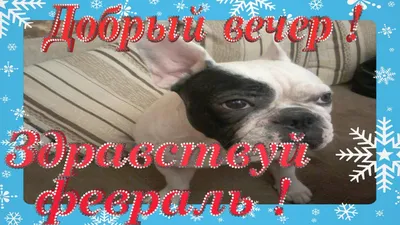 Добрый вечер !Здравствуй Февраль ,провожаем январь картинки Вечерняя  прогулка Бониты -француженки 4# - YouTube картинки