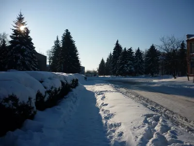 Фото Зима пришла... в городе Бершадь картинки