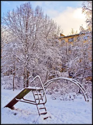 Фото Зима пришла . . в городе Апатиты картинки