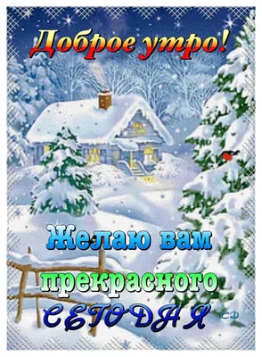 Пин от пользователя Светлана на доске Доброе утро | Доброе утро,  Рождественские картинки, Новогодние пожелания картинки