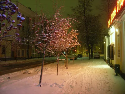 Файл:Winter night on Gogolya street-Зимняя ночь на улице Гоголя -  panoramio.jpg — Википедия картинки