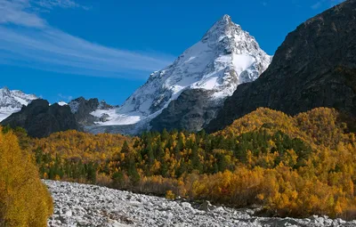 Обои осень, лес, горы, камни, вершина, Россия, Кабардино-Балкария,  Кавказские горы, Ущелье Адыл-Су картинки на рабочий стол, раздел пейзажи -  скачать картинки