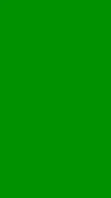 1080x1920 Islamic Green Solid Color Background картинки