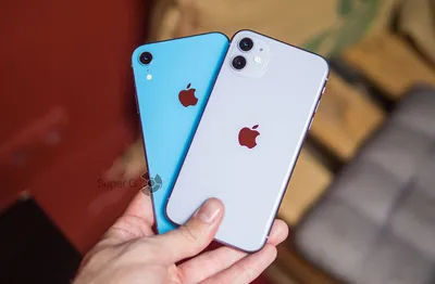 Сравнение iPhone 11 и iPhone XR - обзор и отличия двух смартфонов - Super G картинки