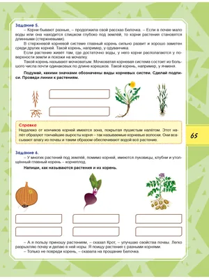 ШКОЛЬНЫЕ ФОТОГРАФИИ картинки