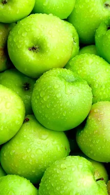 Pin by Красивые Обои on зелёные обои | Green apple, Apple, Fruit картинки