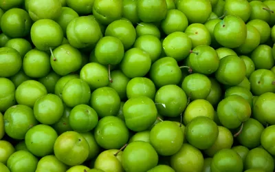 Картинка Green Apples - Granny Smith для телефона и на рабочий стол 1440x900 картинки