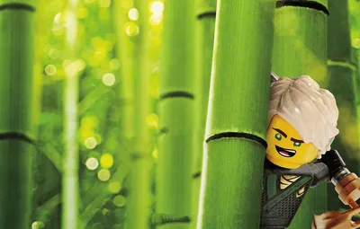 Обои Lego, animated film, animated movie, Lloyd, The Lego Ninjago картинки  на рабочий стол, раздел фильмы - скачать картинки