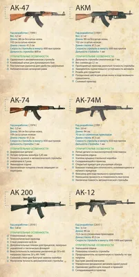 Семейство автомата Калашникова. Инфографика картинки