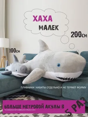 Акула плюшевая 200 см Большая игрушка как из Икеи ТРИ МИШКИ 28748508 купить  за 4 165 ₽ в интернет-магазине Wildberries картинки