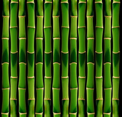 Бамбук текстура, скачать фото, bamboo texture background картинки