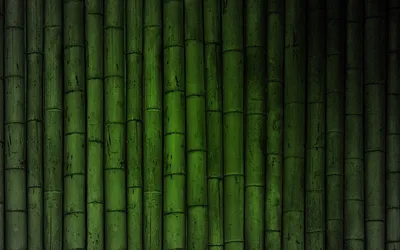 Бамбук текстура, скачать фото, bamboo texture background картинки