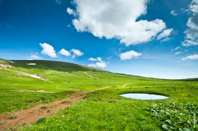 Лаго-Наки в Адыгее, 60 HD-фото летом картинки