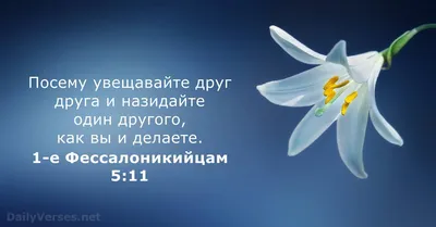 32 Библейские стихи о ободрении - DailyVerses.net картинки