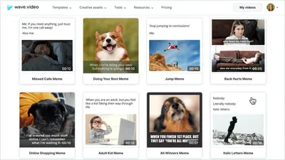 Создатель мемов онлайн | Wave.video картинки