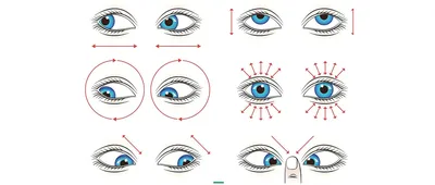 Методы улучшения зрения в домашних условиях - питание, гимнастика,  профилактика картинки