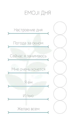 Сториз Хайлайтс для увеличения количества просмотров | Zengram картинки