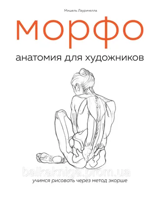 Купить МОРФО. Анатомия для художников, цена 990 грн — Prom.ua  (ID#1379265442) картинки