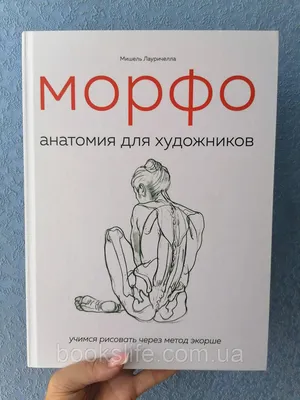 Купить Мишель Лауричелла МОРФО. Анатомия для художников, цена 800 грн —  Prom.ua (ID#1438190269) картинки