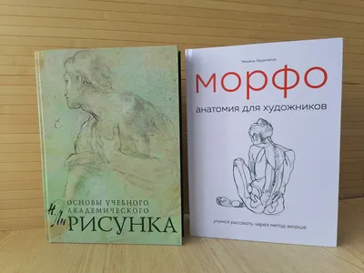 Купить Николай Ли Основы академического рисунка+ Мишель Лауричелла Морфо.  Анатомия для художников, цена 2520 грн — Prom.ua (ID#1445331659) картинки