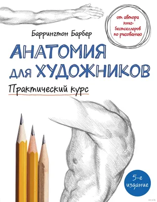 Анатомия для художников. Практический курс» Барбер Баррингтон - купить  книгу «Анатомия для художников. Практический курс» в Минске — Издательство  Бомбора на OZ.by картинки