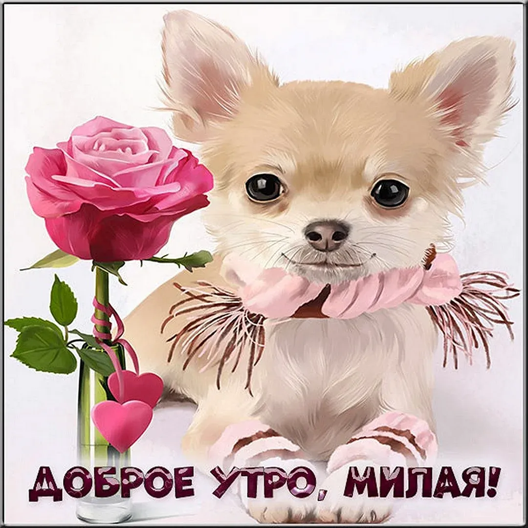 Доброе утро сестричка хорошего дня