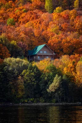 Домик в лесу — Фото №1352684 — Russian Traveler картинки