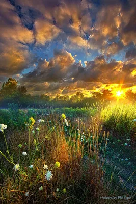 Фото Закат солнца над полем, by Phil Koch картинки