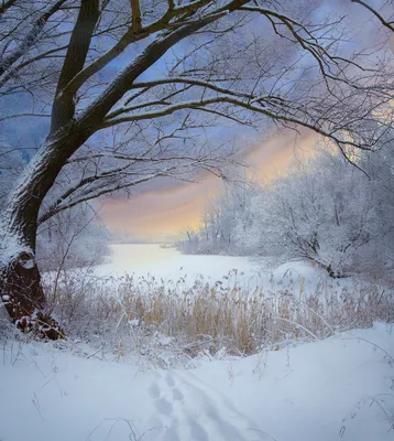 35PHOTO - Фото Брест - Зимние пейзажи. | Winter pictures, Winter scenery,  Winter landscape картинки