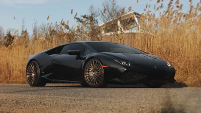 Черный автомобиль Lamborghini Huracan на фоне камыша - обои для рабочего  стола, картинки, фото картинки