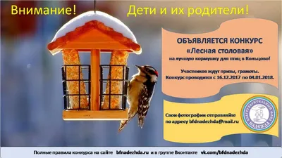 Акция \ картинки