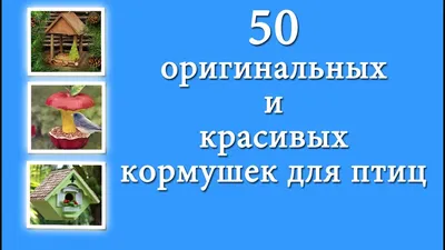 50 красивых, простых и оригинальных кормушек для птиц - YouTube картинки