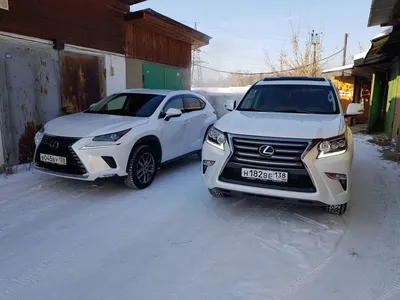 Lexus Фотографии. Дополнения к автомобильным отзывам. картинки