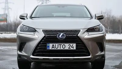 Lexus NX 300h: цена, характеристики, фото кроссовера Лексус НХ картинки