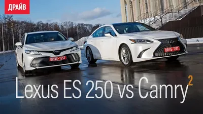 Обращаемся к Camry для оценки родственного седана Lexus ES 250 — ДРАЙВ картинки