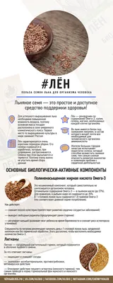 Польза льна в инфографике картинки