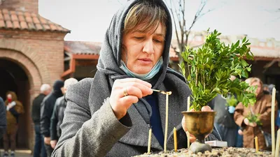 Приметы на Вербное воскресенье 2023: что нельзя делать в праздник? -  08.04.2023, Sputnik Грузия картинки