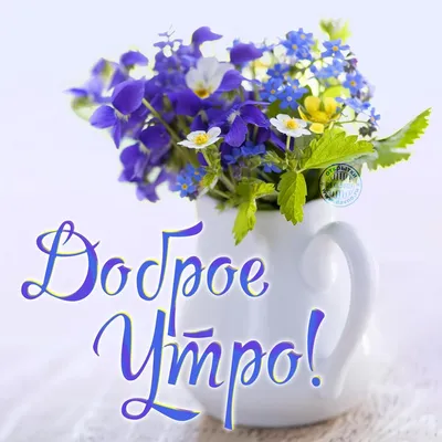 На доброе утро картинки