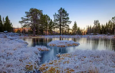 Обои Норвегия, frozen, winter is coming, ноябрь, Straumsbotn картинки на  рабочий стол, раздел природа - скачать картинки