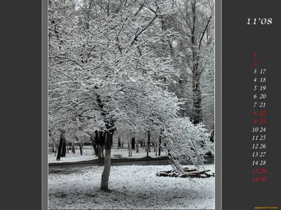 Обои Календарь на ноябрь Календари Природа, обои для рабочего стола,  фотографии календарь, на, ноябрь, календари, природа Обои для рабочего  стола, скачать обои картинки заставки на рабочий стол. картинки