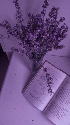 Mor severlerğ💜 | Фиолетовые цитаты, Оттенки фиолетового, Фиолетовые  цветовые палитры картинки