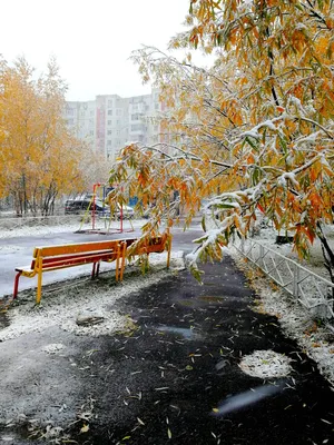 Якутск | ФОТОФАКТ. Первый снег в Нерюнгри - БезФормата картинки