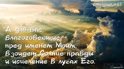 Картинки для поддержки духа и настроения в трудную минуту (45 фото) » Юмор,  позитив и много смешных картинок картинки