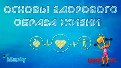 в здоровом теле - здоровый дух :: Государственное областное учреждение  здравоохранения «Центральная районная больница ЗАТО г.Североморск» картинки