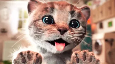 LITTLE KITTEN'S ADVENTURE cartoon funny video for kids cartoon about cats  #MM - YouTube картинки