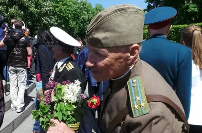 Поздравления с 9 мая: трогательные стихи и проза к празднику картинки