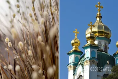 С Вербным воскресеньем хорошие поздравления в стихах и прозе – картинки,  открытки, смс картинки