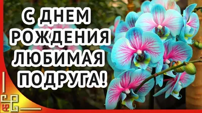 С днем рождения любимая подруга! Самой лучшей подруге! - YouTube картинки