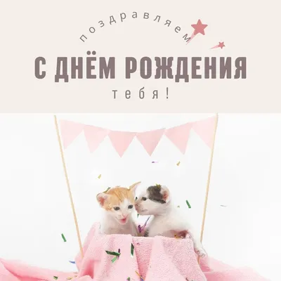 Открытки и прикольные картинки с днем рождения с котиками, котами и кошками картинки