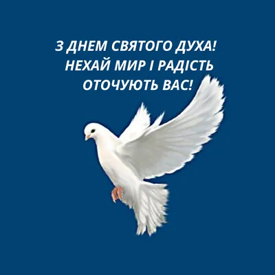 День Святого Духа 2022 в Украине – что нельзя делать 13 июня – картинки,  поздравления картинки